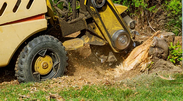 Stump Grinding